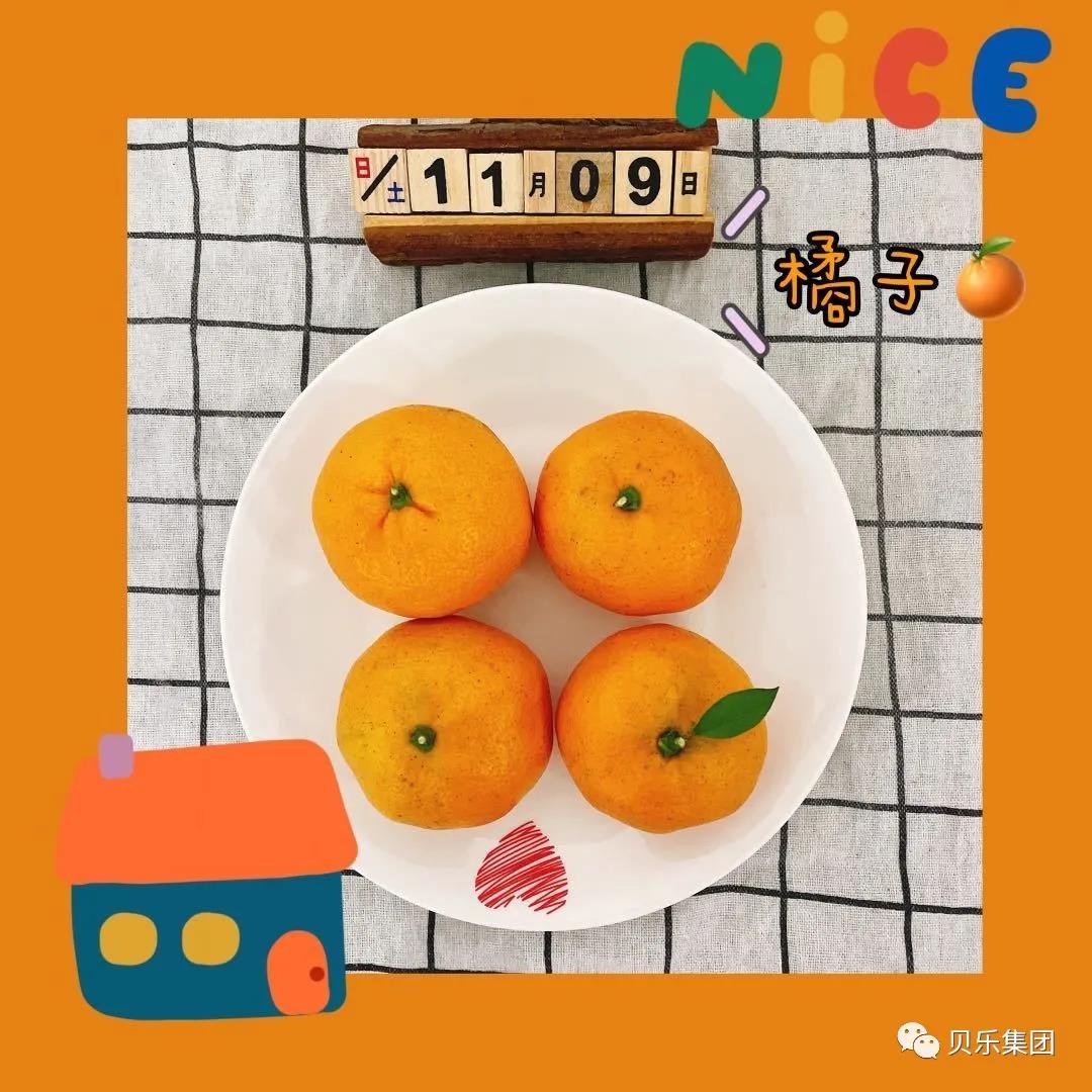 ʳ(bo)ζ~